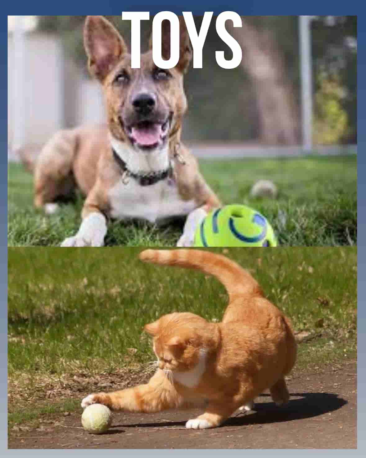 Toys