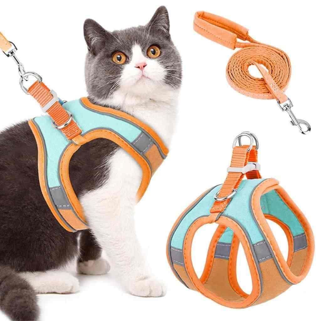 Cat Harness with Leash Adjustable Comfortable | Buy Online India | Premium Quality