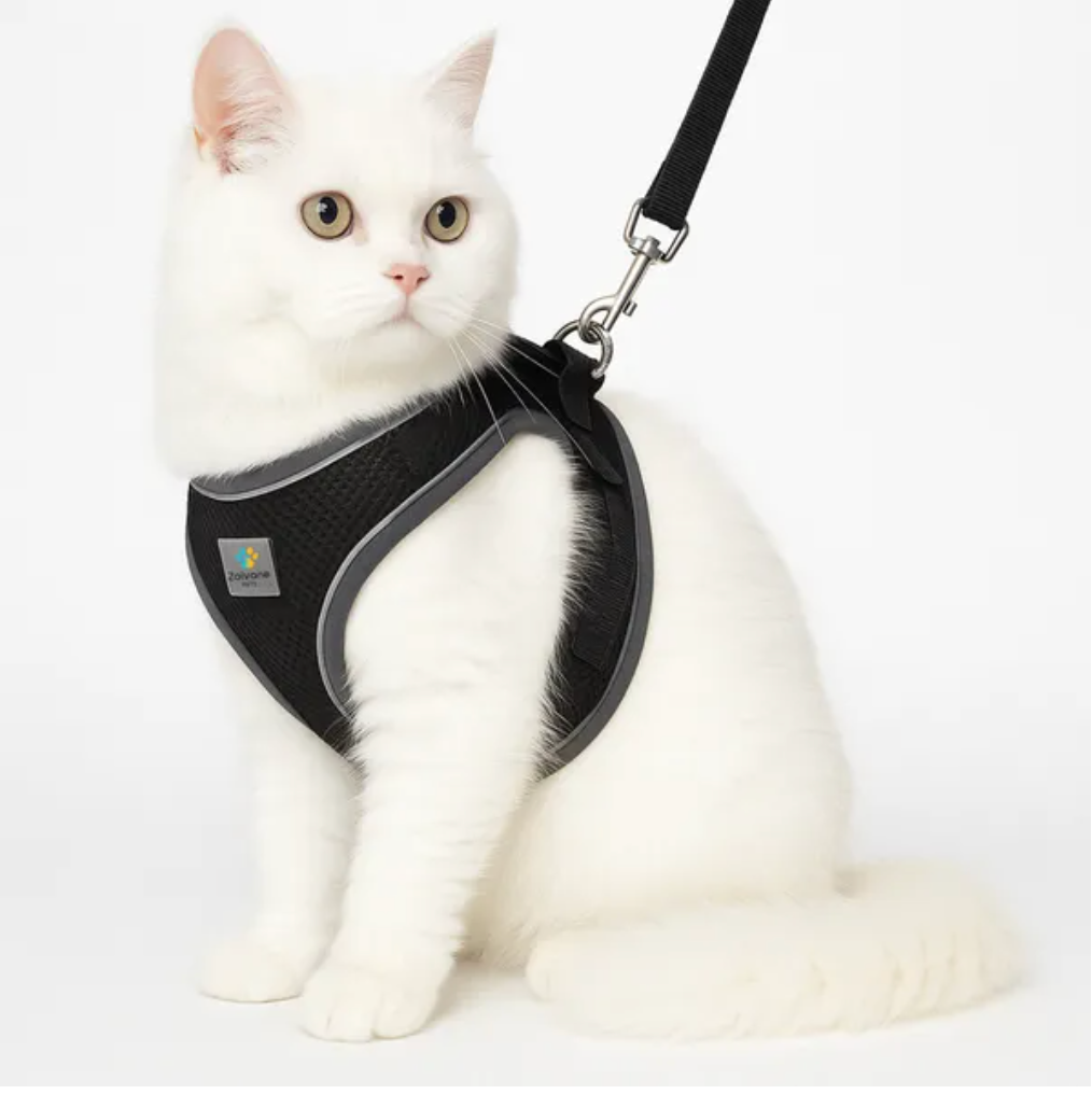 pet care harness for cats (black) premium pet product india