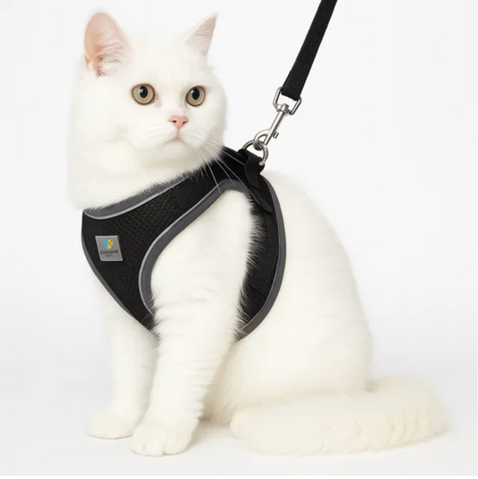 pet care harness for cats (black) premium pet product india