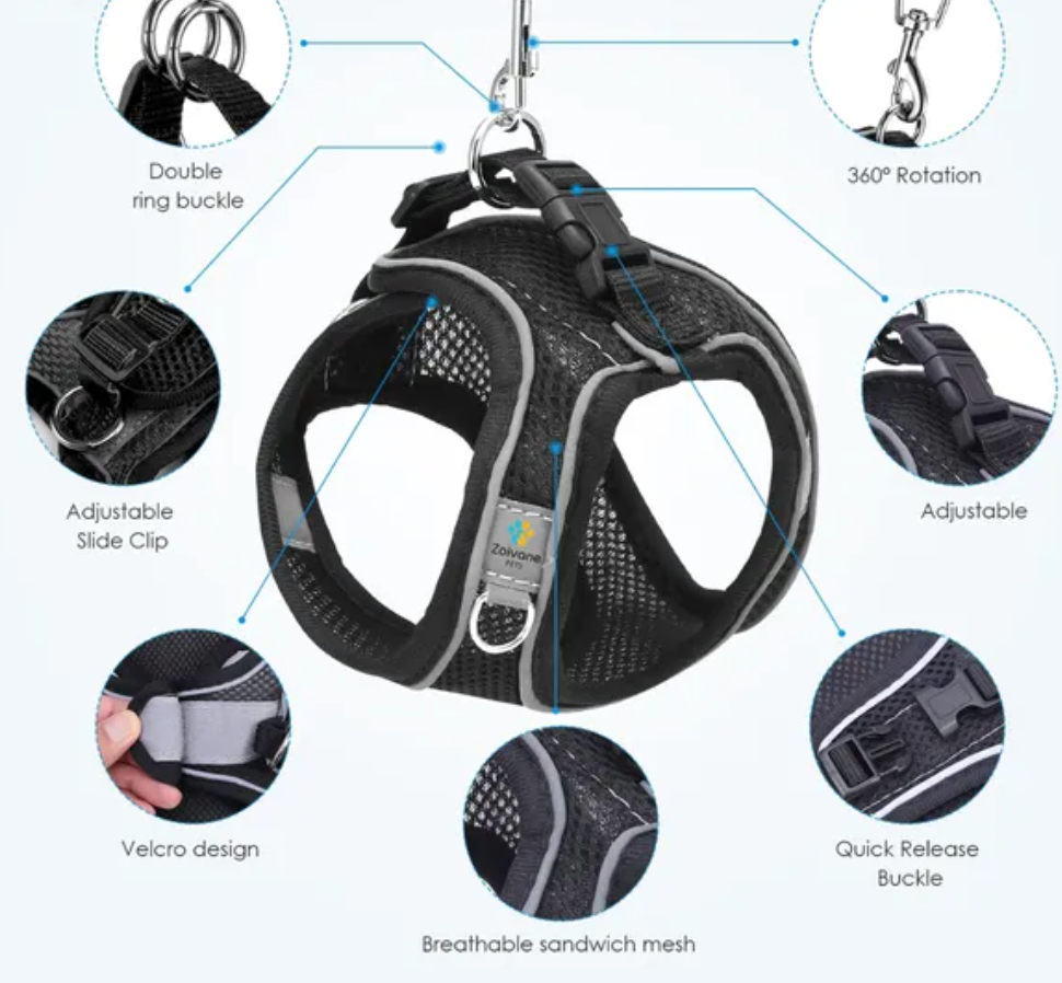 Pet Care Harness for Cats (Black) | Buy Online India | Premium Quality