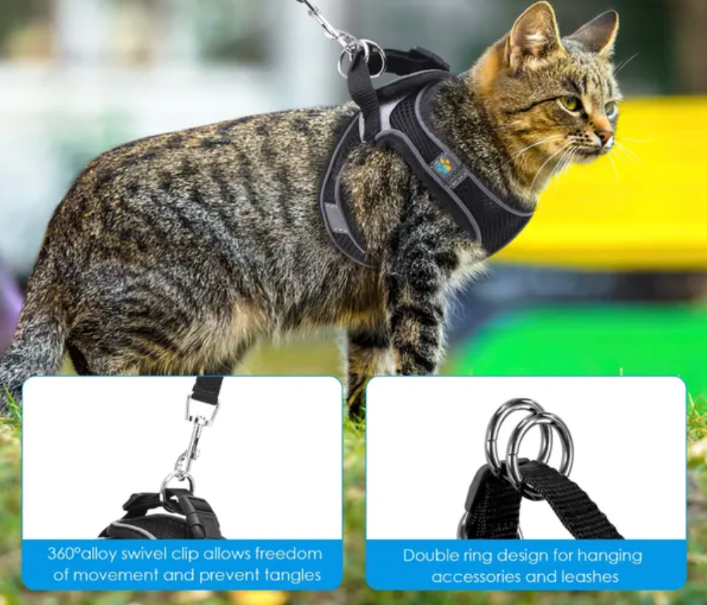 Pet Care Harness for Cats (Black) | Buy Online India | Premium Quality