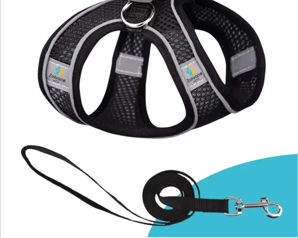 Pet Care Harness for Cats (Black) | Buy Online India | Premium Quality