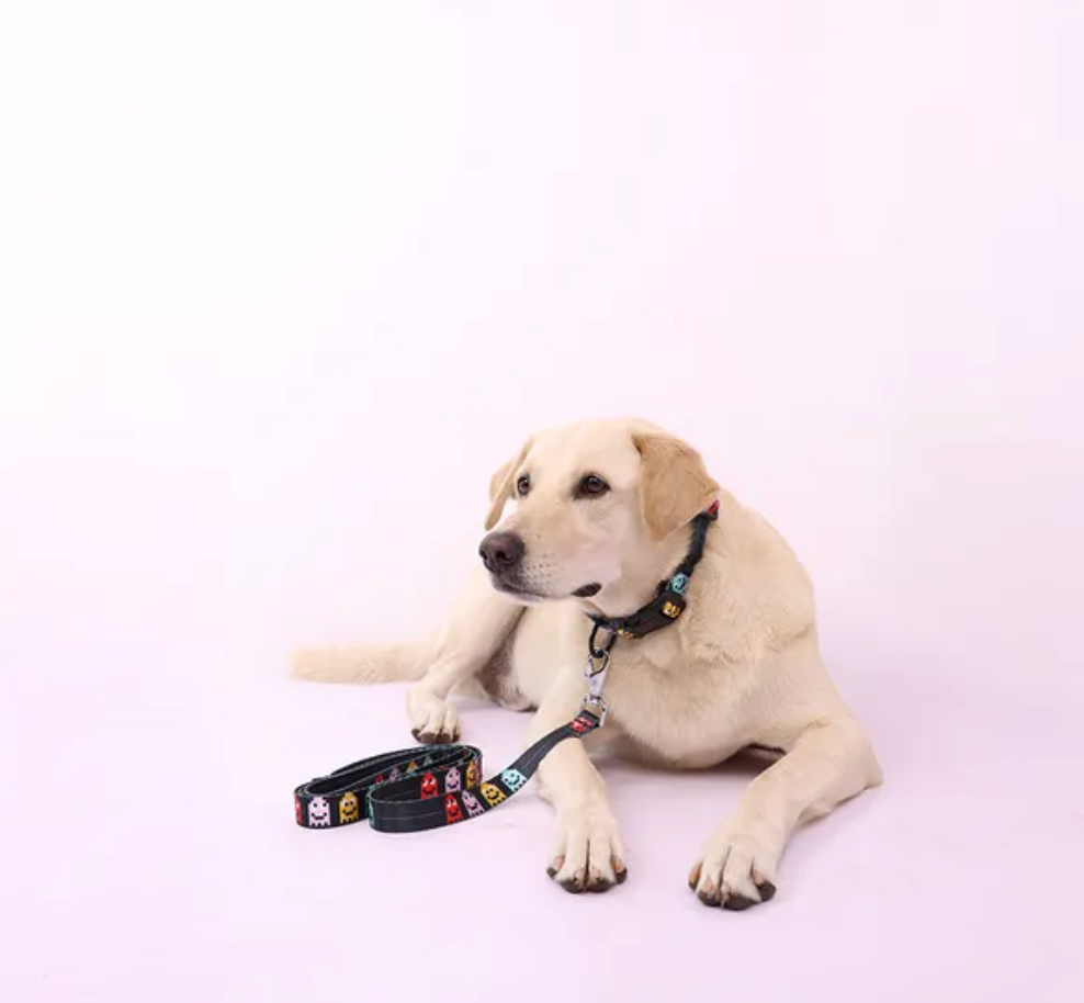 Arcade Mood Collar for Dogs | Buy Online India | Premium Quality